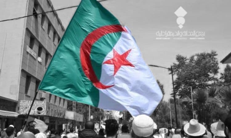 Tahadi movement photo 9